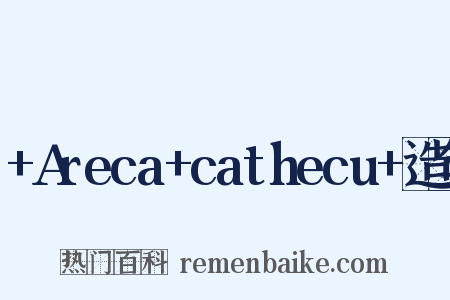 +Areca+cathecu+造句是什么意思的图片